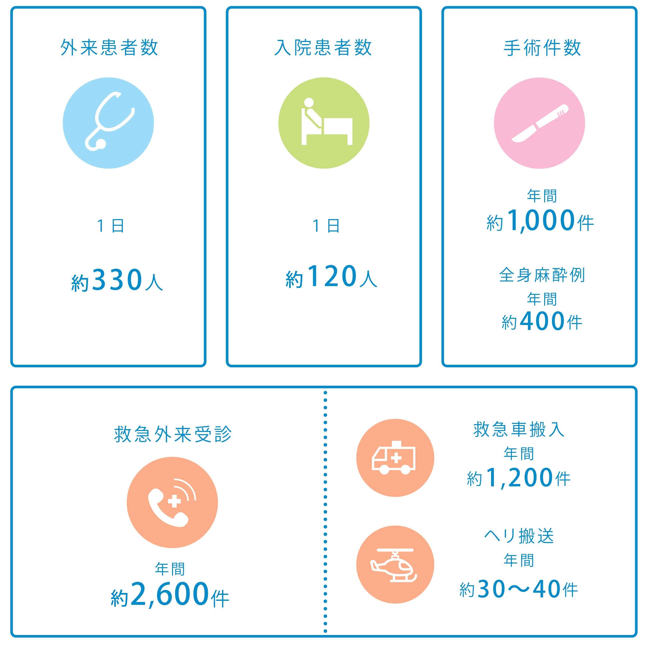 当センターの実績
